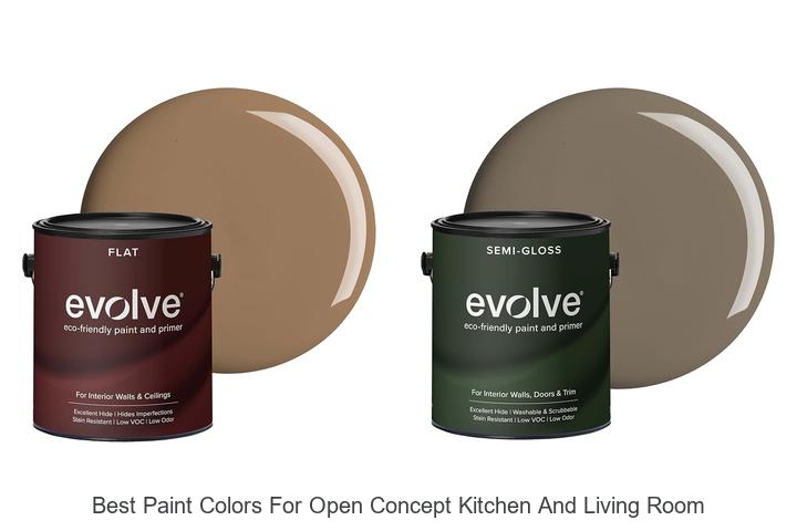 best paint colors for open concept kitchen and living room