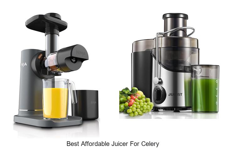 best affordable juicer for celery