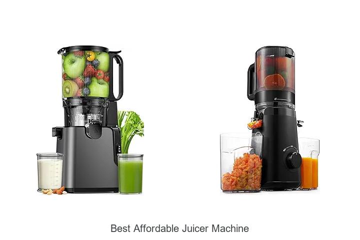 best affordable juicer machine