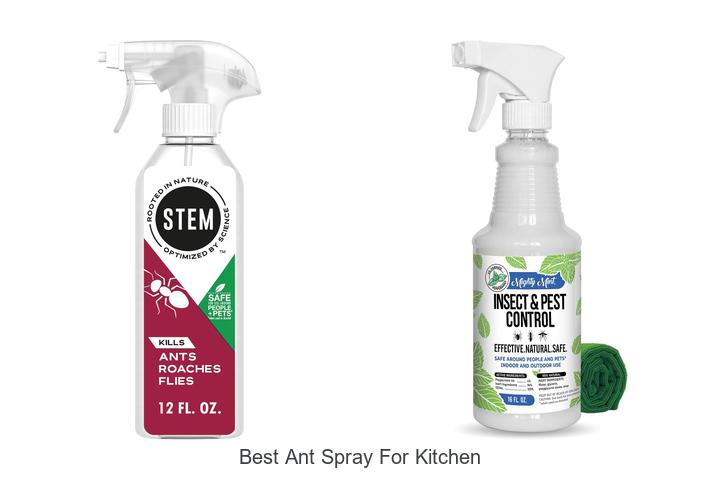 best ant spray for kitchen
