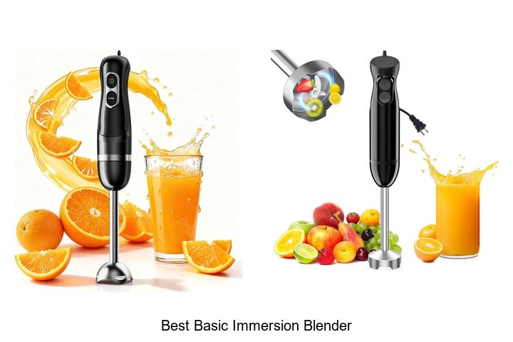best basic immersion blender