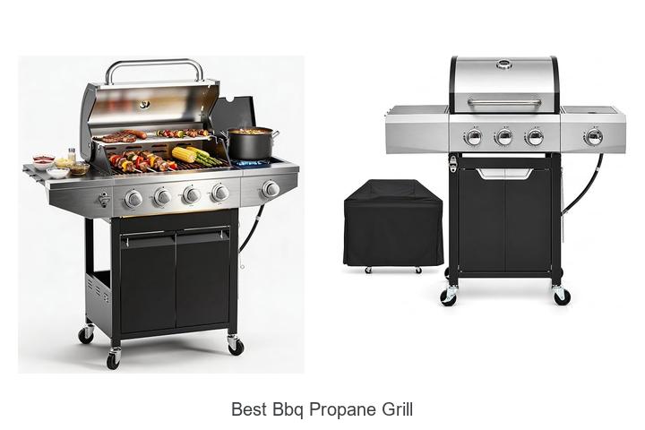 best bbq propane grill