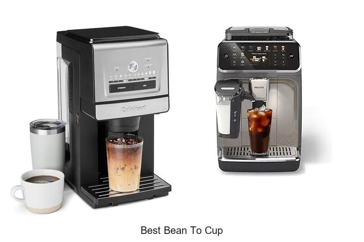 best bean to cup
