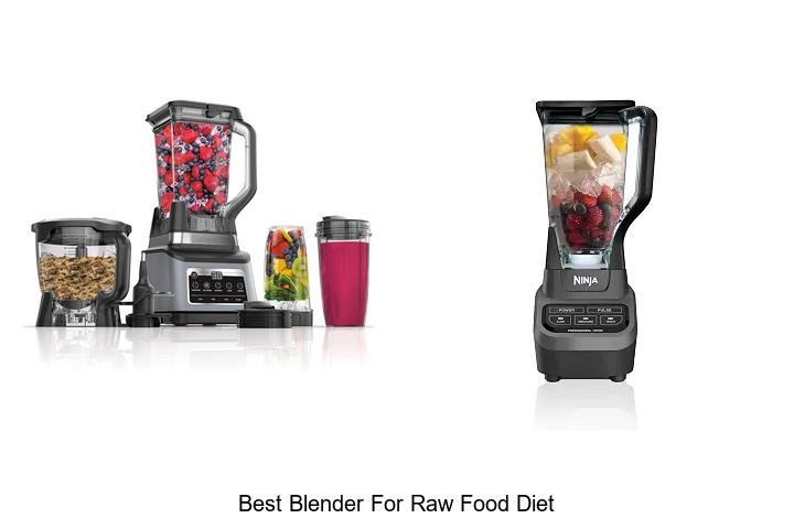 best blender for raw food diet