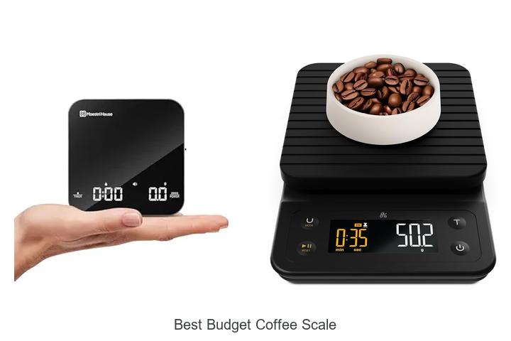 best budget coffee scale