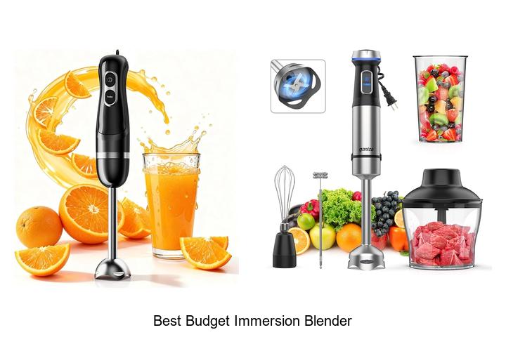 best budget immersion blender