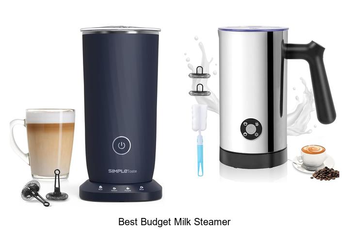 best budget milk steamer