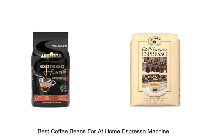 best coffee beans for at home espresso machine