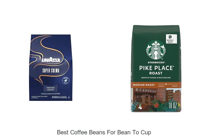 best coffee beans for bean to cup
