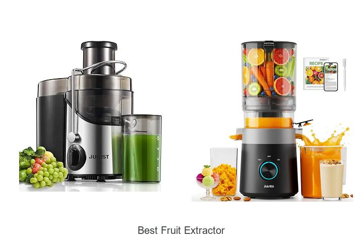 best fruit extractor