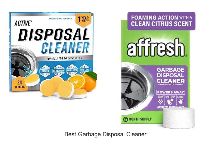best garbage disposal cleaner
