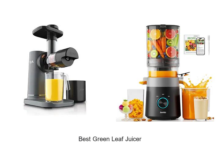 best green leaf juicer