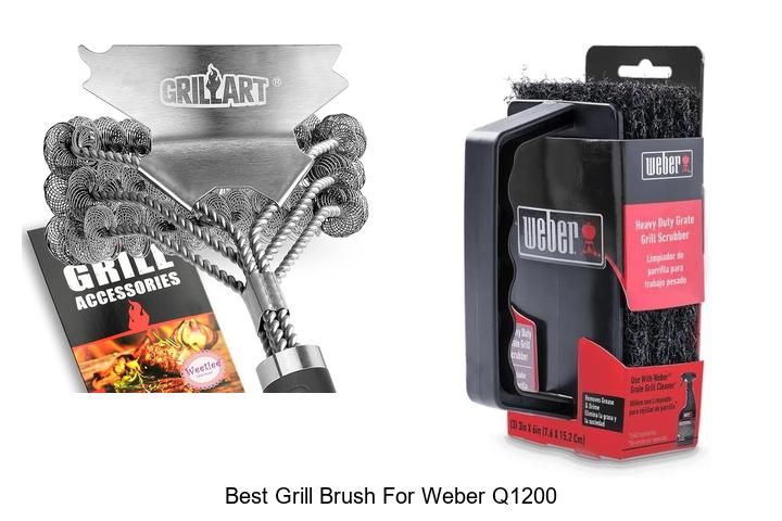 best grill brush for weber q1200