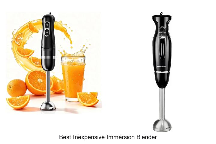 best inexpensive immersion blender
