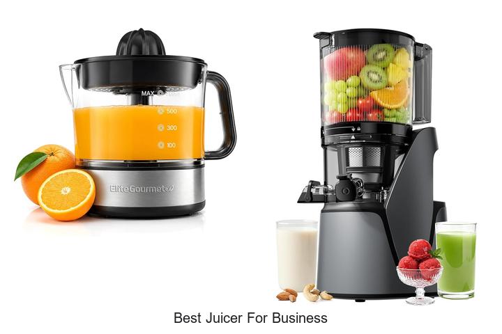 best juicer for business