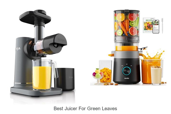 best juicer for green leaves