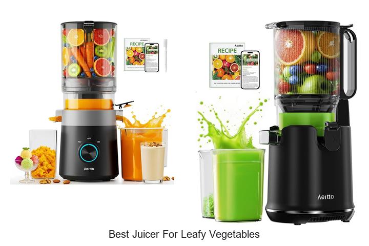 best juicer for leafy vegetables