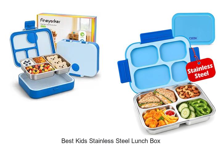 best kids stainless steel lunch box