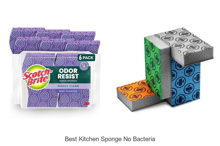 best kitchen sponge no bacteria