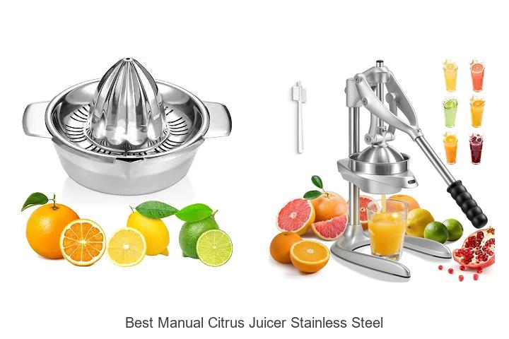 best manual citrus juicer stainless steel