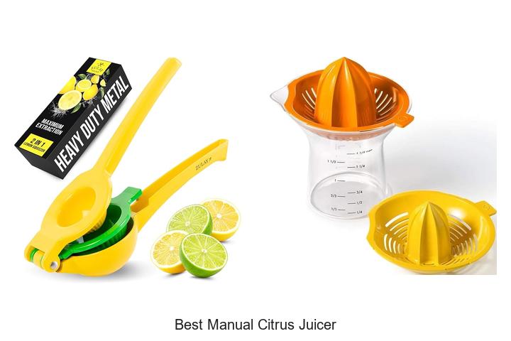best manual citrus juicer
