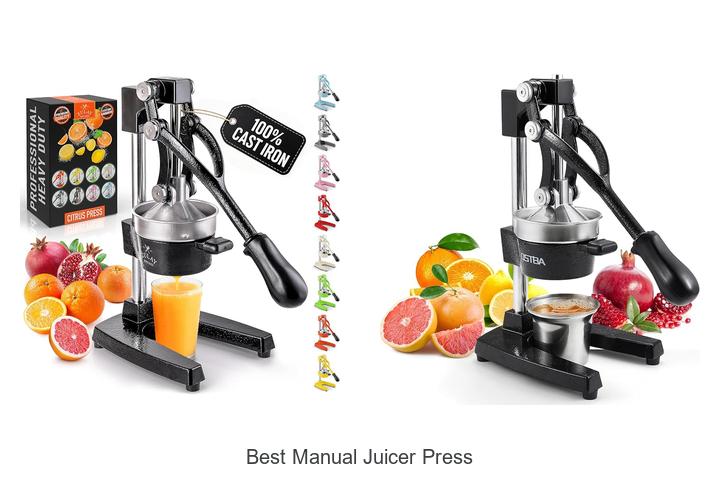 best manual juicer press