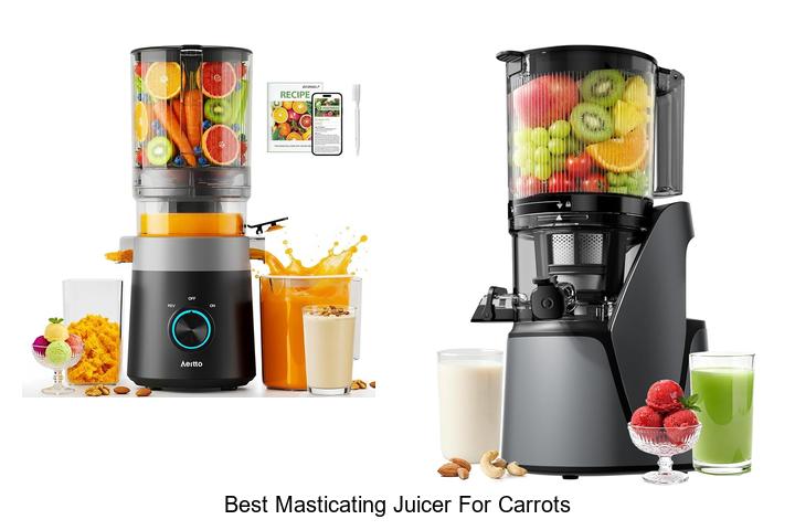 best masticating juicer for carrots