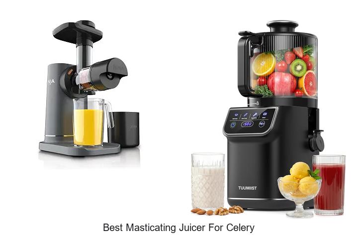 best masticating juicer for celery