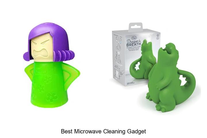 best microwave cleaning gadget
