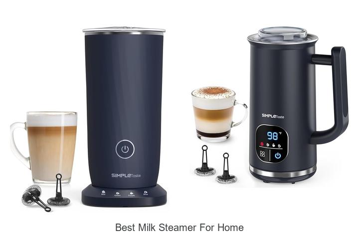best milk steamer for home