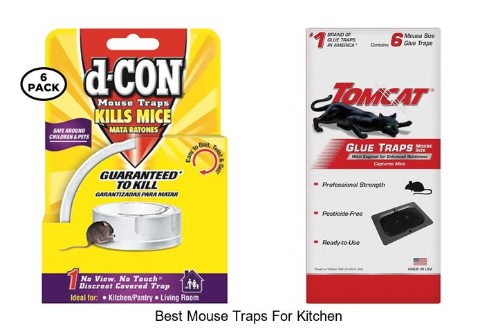 best mouse traps for kitchen