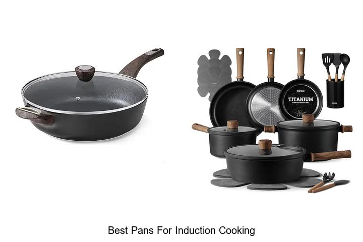 best pans for induction cooking