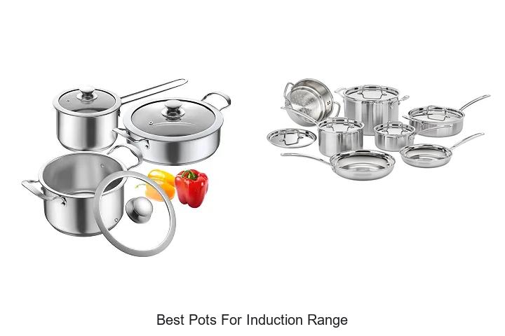 best pots for induction range