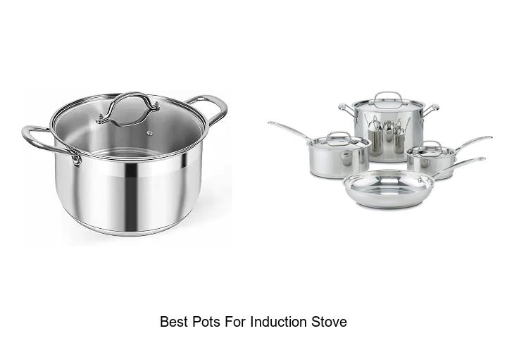 best pots for induction stove