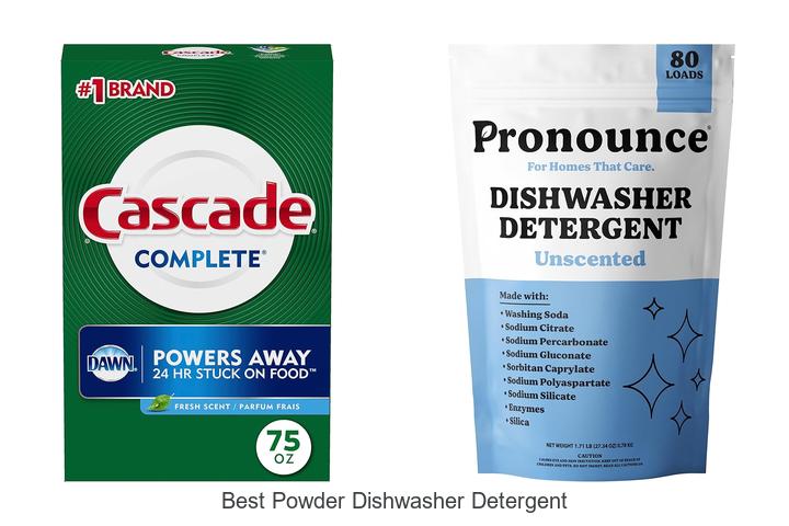 best powder dishwasher detergent