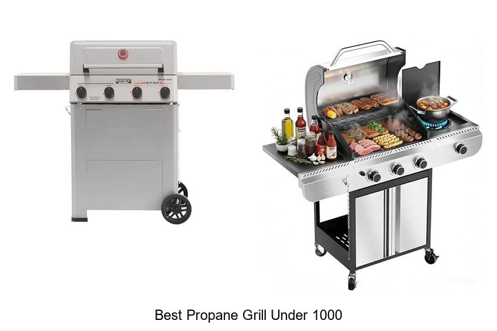 best propane grill under 1000
