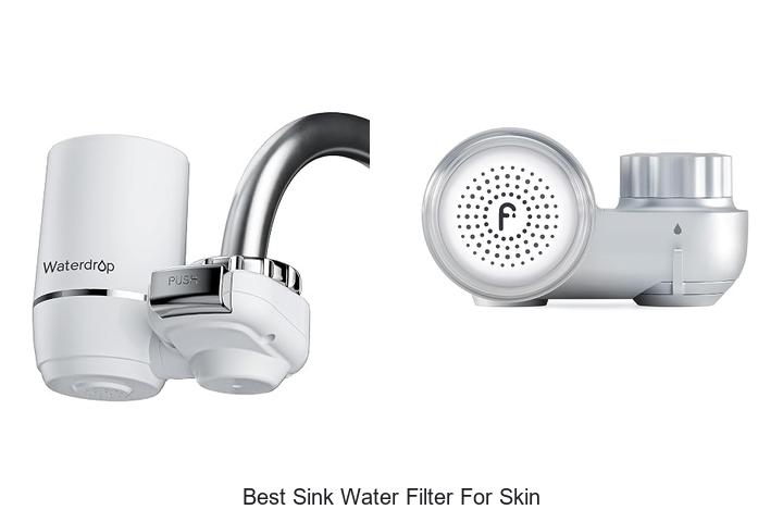 best sink water filter for skin