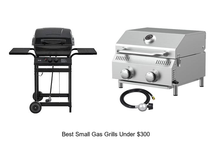 best small gas grills under 300