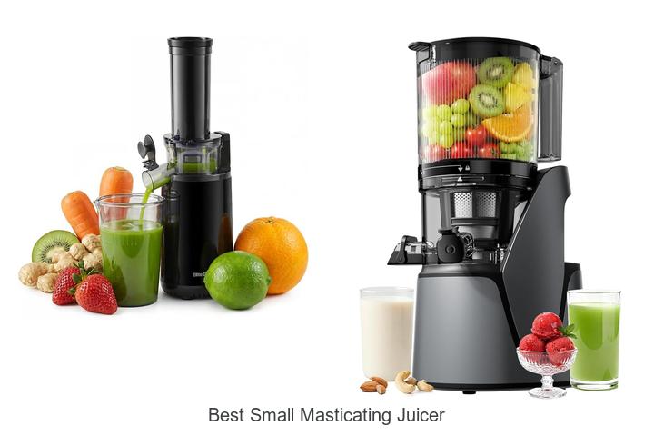 best small masticating juicer