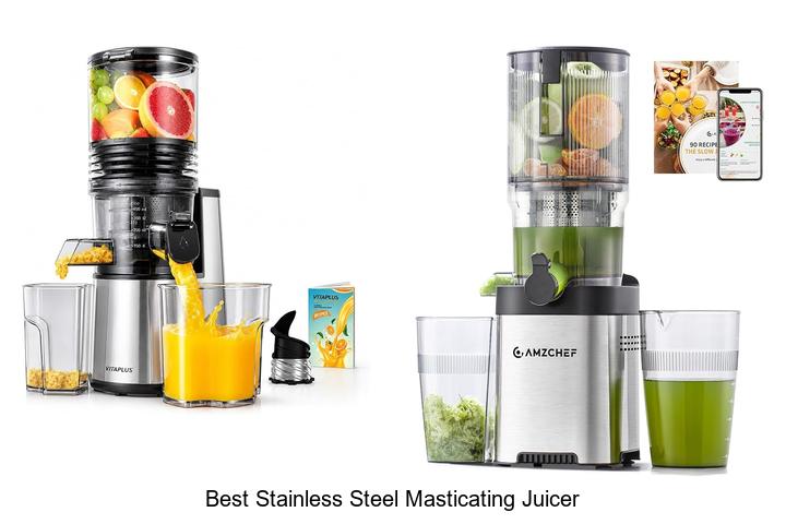 best stainless steel masticating juicer