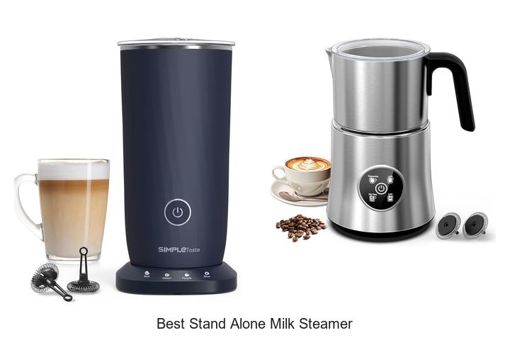 best stand alone milk steamer
