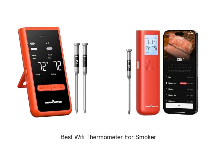 best wifi thermometer for smoker